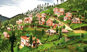 Ooty Sightseeing Tour